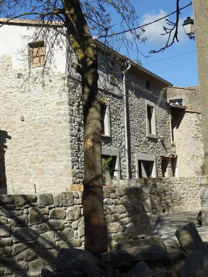 Villa Misanid Ecrin De Verdure A 15Mm De La Cite De Carcassonne Mas-des-Cours Dış mekan fotoğraf